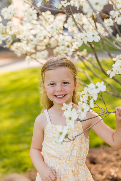 boston public garden spring mini sessions girl with blossoms