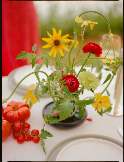 Colorful, vibrant, untraditional wedding cake at Crow's Nest Montauk New York wedding, Lindsey Whatley Photo, East coast documentary-style wedding photographer for the untraditional