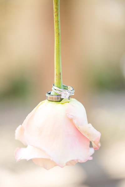 ElegantBackyardWedding_0031