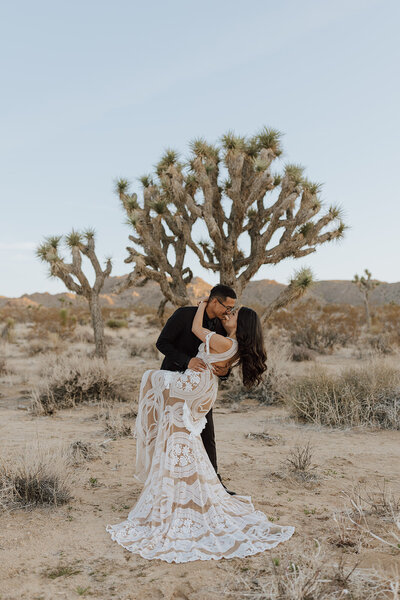 groom dipping bride in a desert with joshua trees