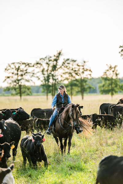 cowgirl sorting cows in pasture