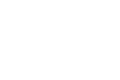 Ashlee Ellison Photography Logo_white