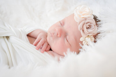 Mini newborn photography sessions can often create the sweetest moments. this was taken during a mini newborn photography session in Edmonds Wa by Thistle and Bloom Photography