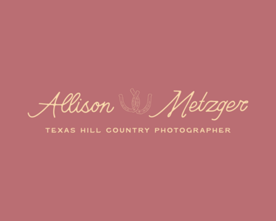 websiteportfolio_allisonmetzger-04