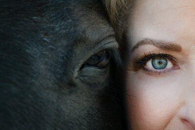 denver commercial photographers captures equestrain business owner and her horse face by face for brand images