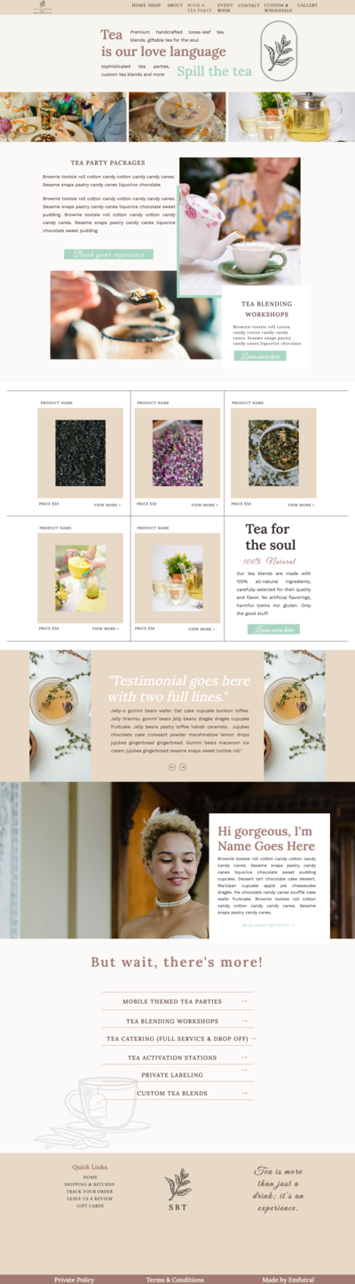 Showit template for coaches, virtual assistants, and copywriters ready to attract clients with a DIY website