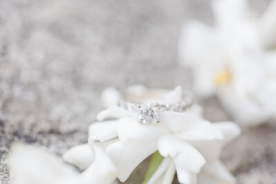 Jennifer B Photography-Josh & Melissa-Engagement-2020-0188