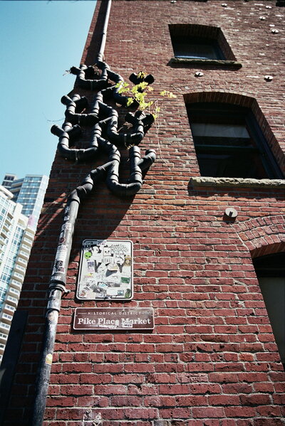 film photo in Seattle