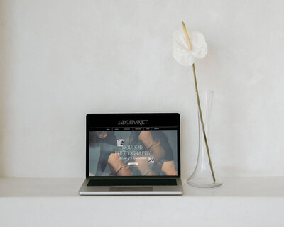 jade-laptop-with-vase-zoom