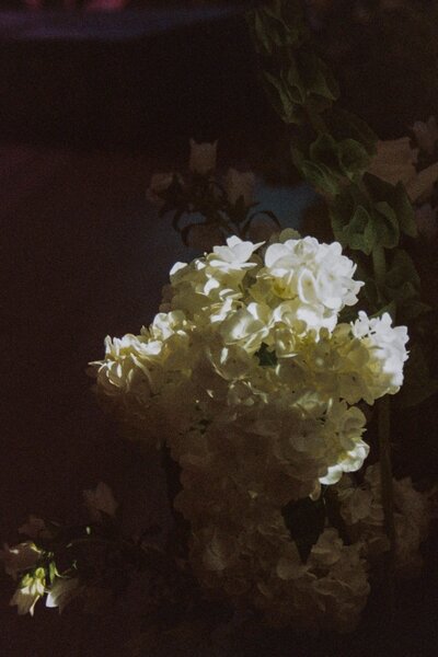 moody photo of white wedding bouquet