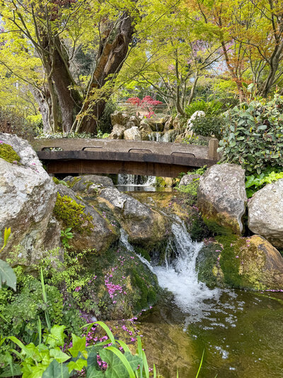 View of the Japanese Gardens at the Orto Botanico in Rome, Italy.