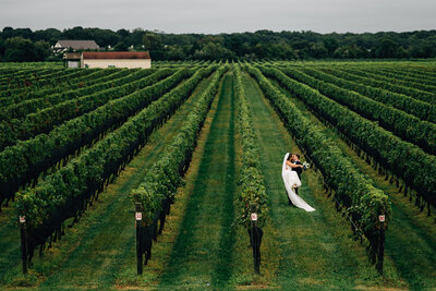 groom carrying bride through vineyards in Long Island