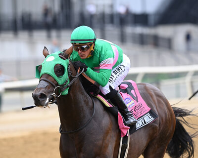 Bay Thoroughbred Patriot Spirit winning a race.