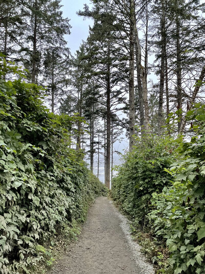 Pacific Northwest , Olympic National Park