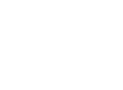Boudoir by Rachel Logo White-01
