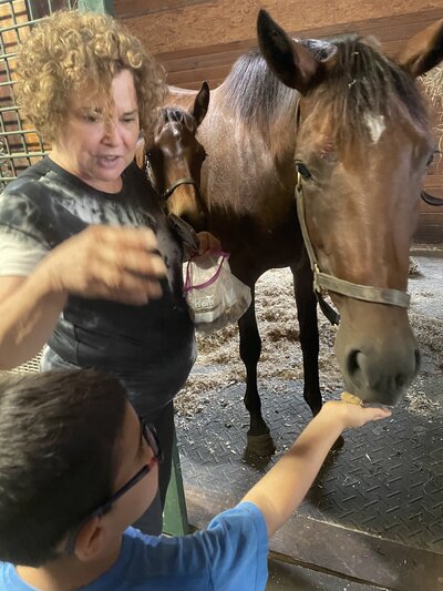 Feeding horses in saratoga at farm,  how to give up my baby, i don't want my baby