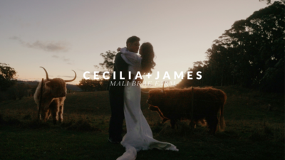 a beautiful sydney winter wedding video at mali brae farm in the southern highlands of NSW. featuring cutest highland cows. beautifully documented by Sydney wedding videographer Alexander Li