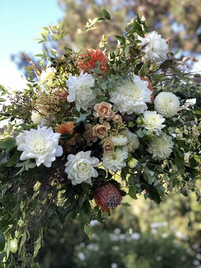 white dahlias, sahara roses, banksia  on a wedding arch for a wedding at the lodge at malibou lake in los angeles