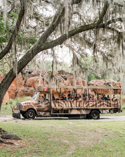 disneyspringbreak-10