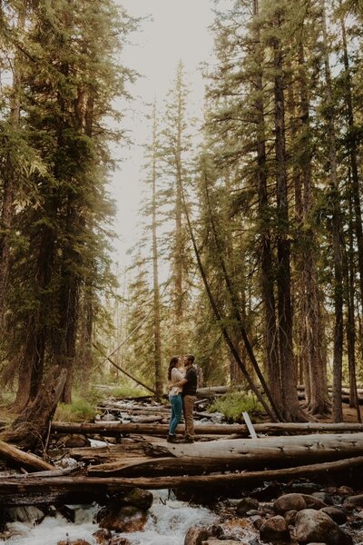 couple hugging in the woods