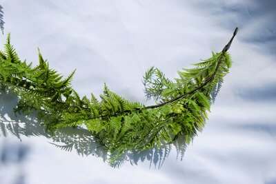 melville sk rentals wedding