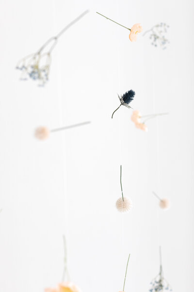 2025.03.17 Spring Install Jax Mini Sessions Studio-15566