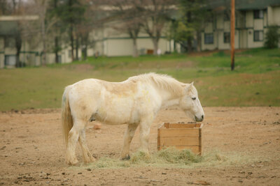 2021-03-08 HOW - Kori + Jared Photography-135