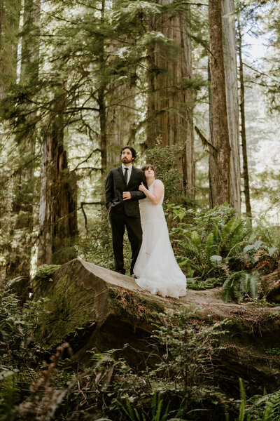 redwood elopement couple posing among the trees