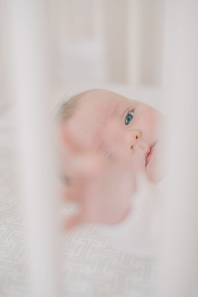 blue eyed baby looking at the camera