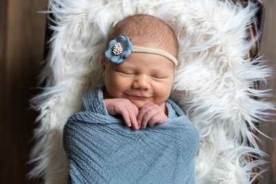 Newborn photography in Minnesota, Twin Cities. link to view our newborn baby photography