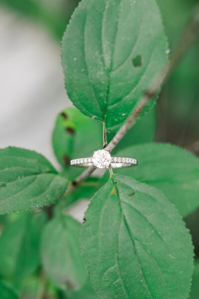 engagement ring taken by wedding photographer minnesota