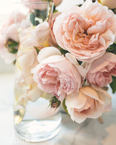 Rose petal