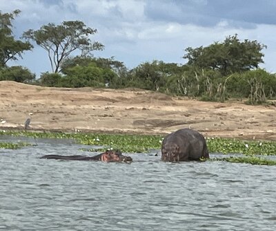 uganda 6