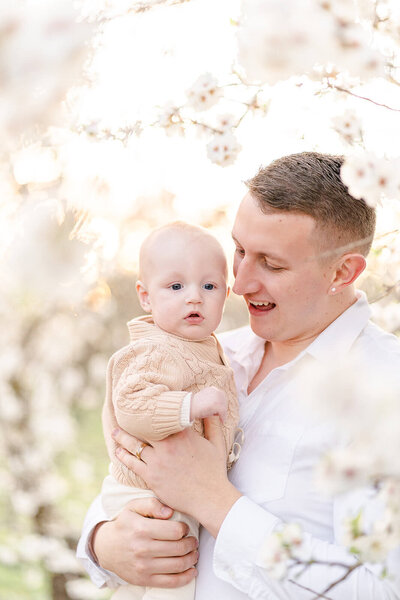 dad cuddling baby boy surrounded by plum flowers in a brisbane plum orchard.
