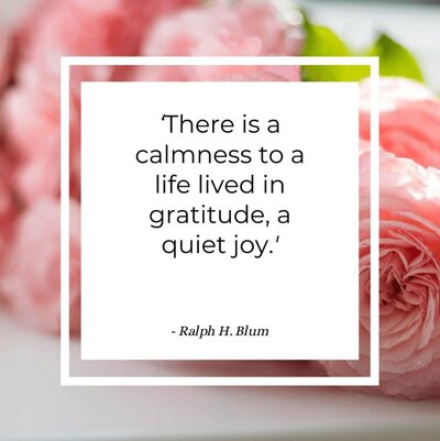There is a calmness to a life lived in gratitude, a quiet joy - quote
