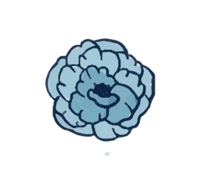Light blue rose-style flower illustration for massage icon.