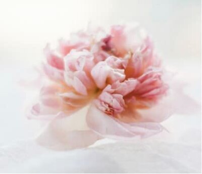 One-on-one coaching session symbolizing personal growth and support.