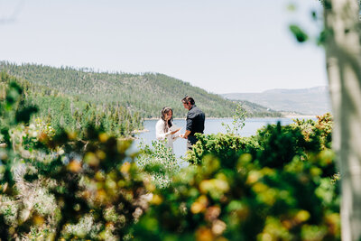 A couple stands together outdoors near a lake, surrounded by green foliage and trees, with hills and water in the background on a bright, sunny day—captured beautifully by an Eau Claire Wedding Photographer.
