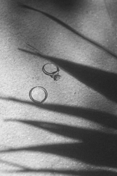 Couples photos taken in Columbus