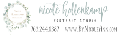 Logo for Nicole Hollenkamp Portrait Studio