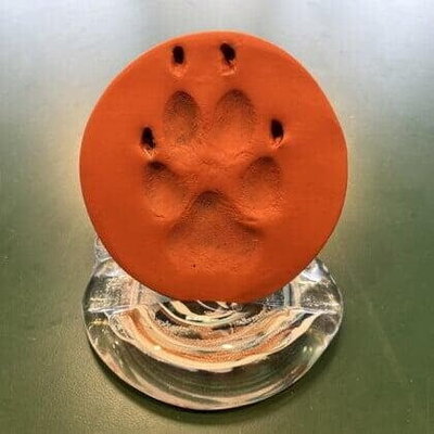 A memorial paw print, symbolizing the lasting bond between pets and their families, offered through Nature's Way Pet Aquamation in Lansing, Michigan.