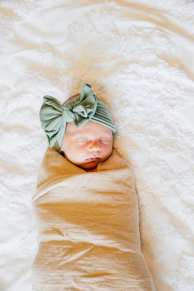 mn-family-newborn-photos