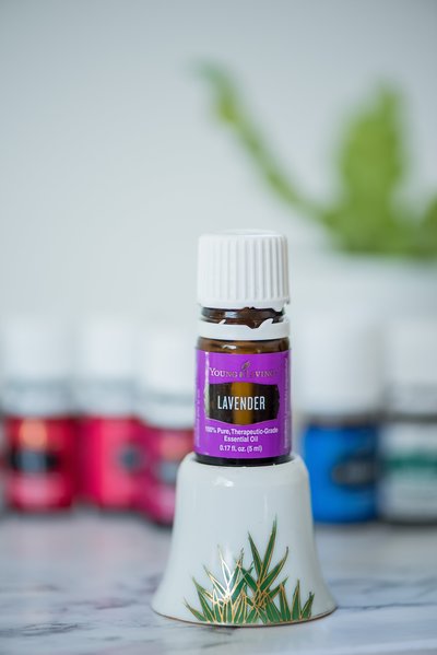 YL photos 2.21.18-37