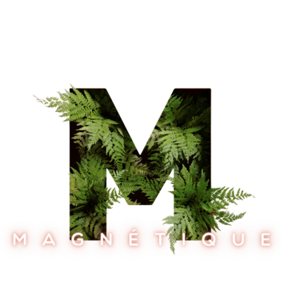 logo-magnetique