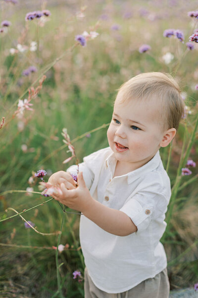 Young boy stands in flower fields for family photos in DC