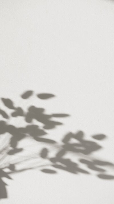 leaf shadows