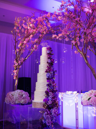 Sneha + Chirag Downtown Raleigh Indian wedding - Cake Design