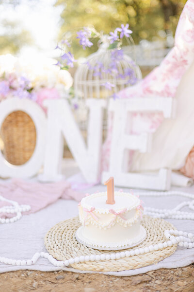 dallas cake smash photographer