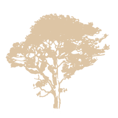 prestations-libération-âme-virginie-paranormality