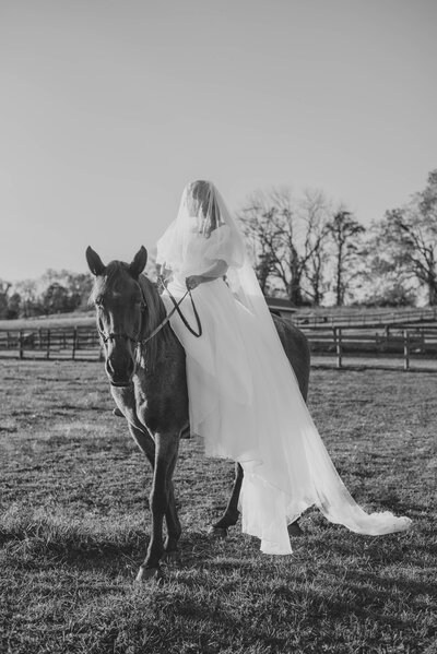 bride on a horse